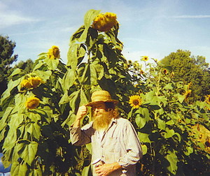 Harry Brown's Farm