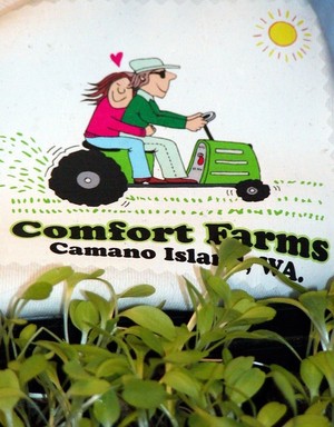 Comfort Farms