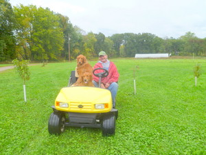 Two Creeks Organics