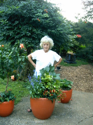 the secret gardener