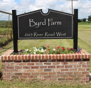 Byrd Farm