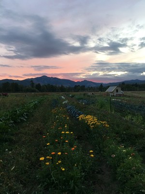 Skokomish Valley Farms