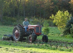 Stoney Creek Nursery