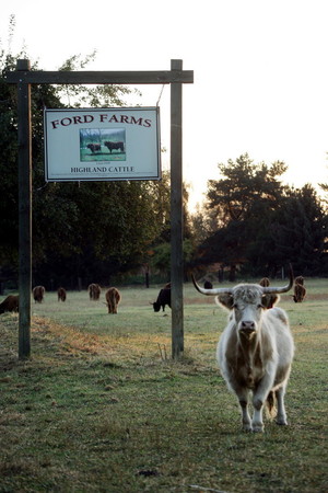 Ford Farms LLC