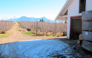 Ela Family Farms