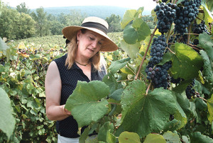 Chrysalis Vineyards