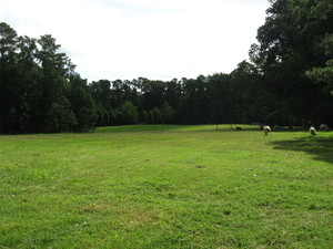 Dew Dance Farm