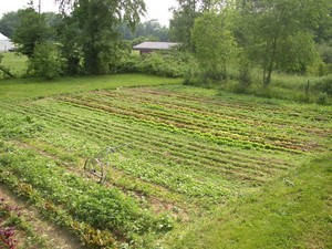 Nature's Harvest Organics