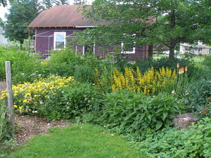 Barlow's Mill