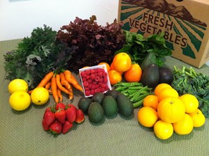 Eli's Farms
