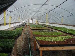 Green Planet Organics