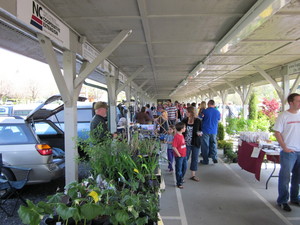 Ashe County Farmer's Market
