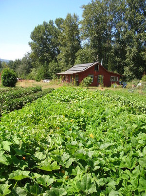 Gales Meadow Farm