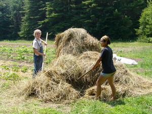 Daloz Farm CSA