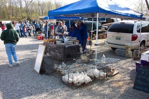 River Hills Farmers Market