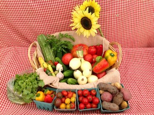 Ever Green Farm ~ CSA