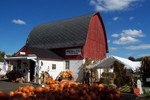 Reinke's Down on the Farm