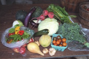 Piney Hill Farm CSA