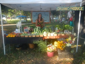 Willoway Farm