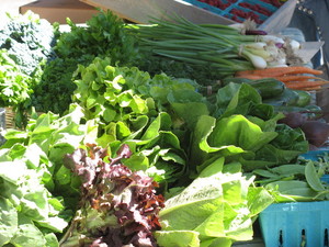 Clark Fork River Farmers' Market