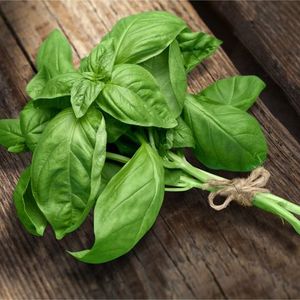 Harlequin Produce