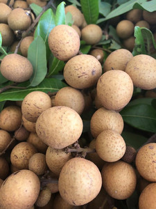 Redland Fresh Farm
