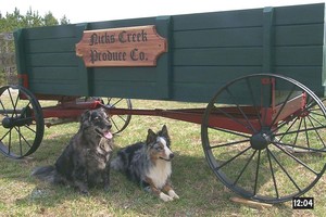 Nicks Creek Produce