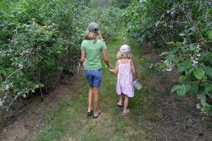 Jameson's High Meadow Farm