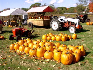 Rolling Hills Farm