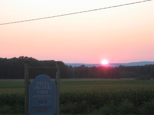 Delta Organic Farm