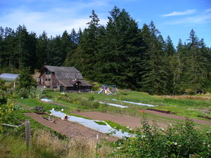 Morning Star Farm