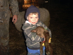 Werners Green Acres