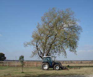 Rocking A Farm