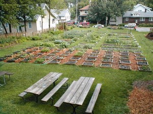 Gifford Park Community Garden