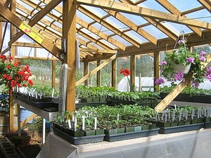 Camino Acres Produce