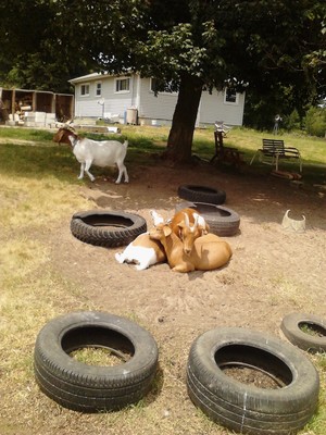 DanBar Farm