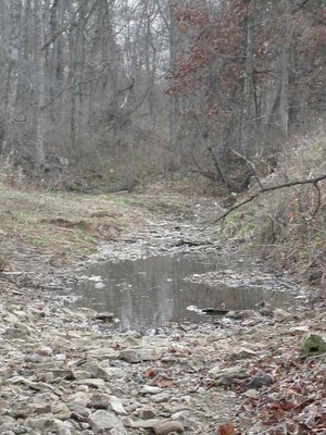 Losing Creek Farm
