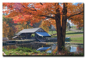 Sanborn Mills Farm