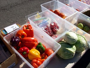 Taylor County Farmers market Association