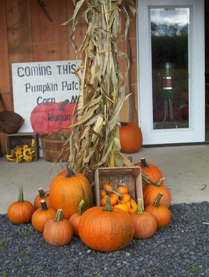 Springside Farm