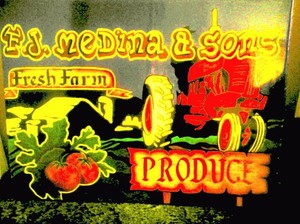F. J. Medina & Sons Farm