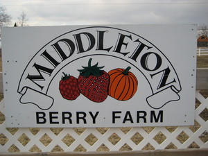 Middleton Berry Farm