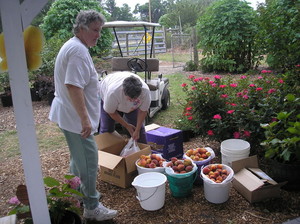 Moran Fruit Farm and Nursery