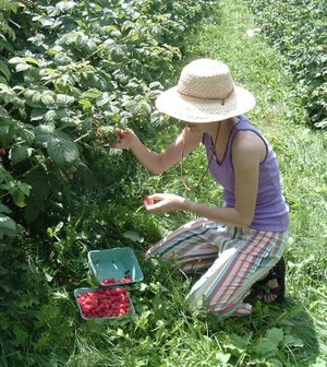 Cherry Hill Farm