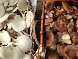 Dillsburg Farmers' Market