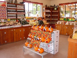 Scholz Farm and Garden