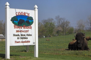 Cook's Bison Ranch