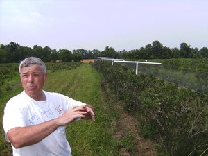 Black River Organics