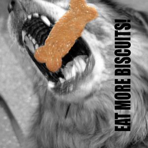 Bones Du Jour, LLC