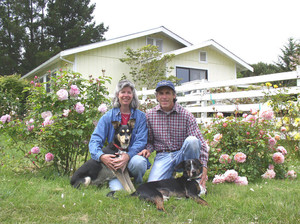 Amity Heritage Roses
